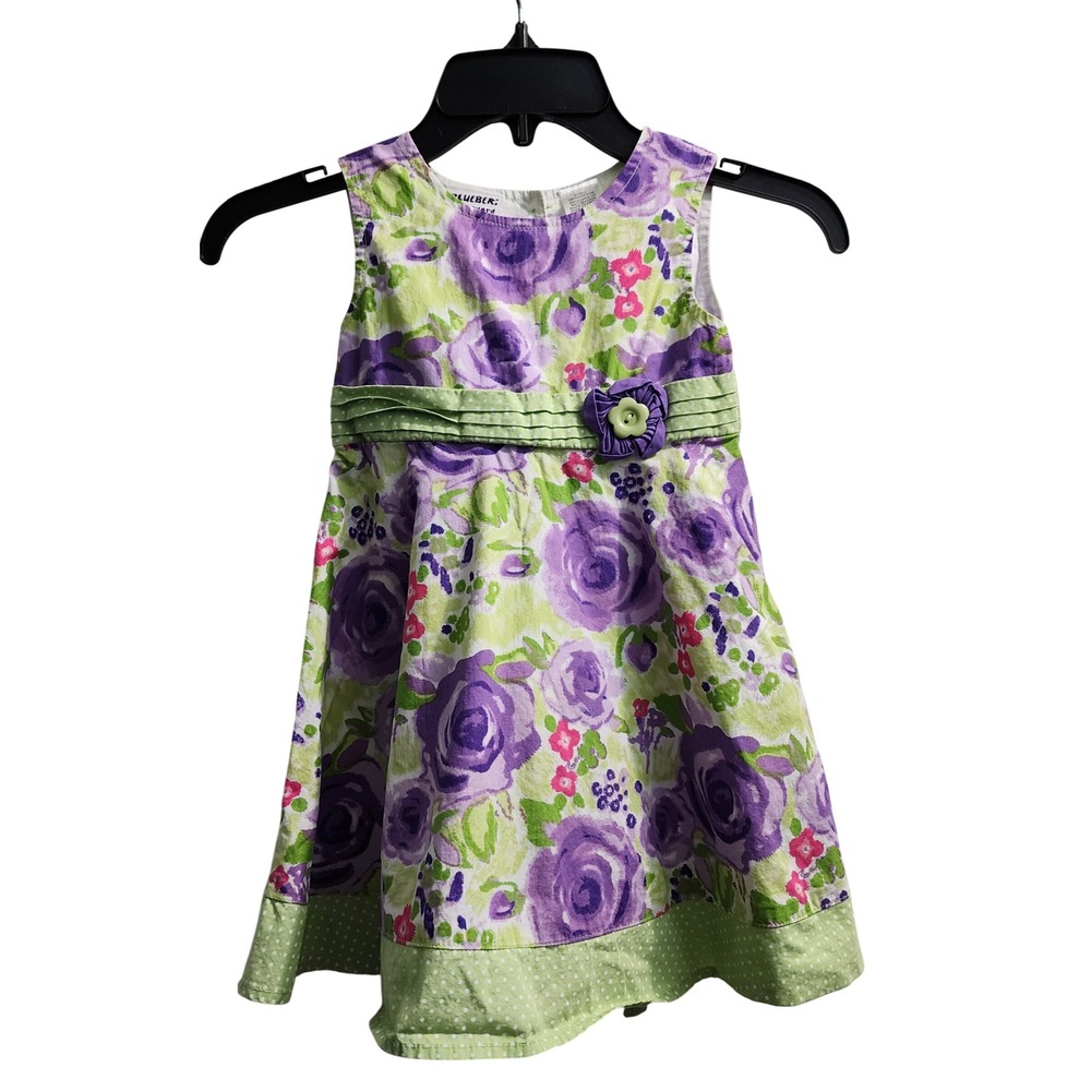 Blueberi Boulevard Floral Dress Purple Green Flower Girl Party Size‎ 4